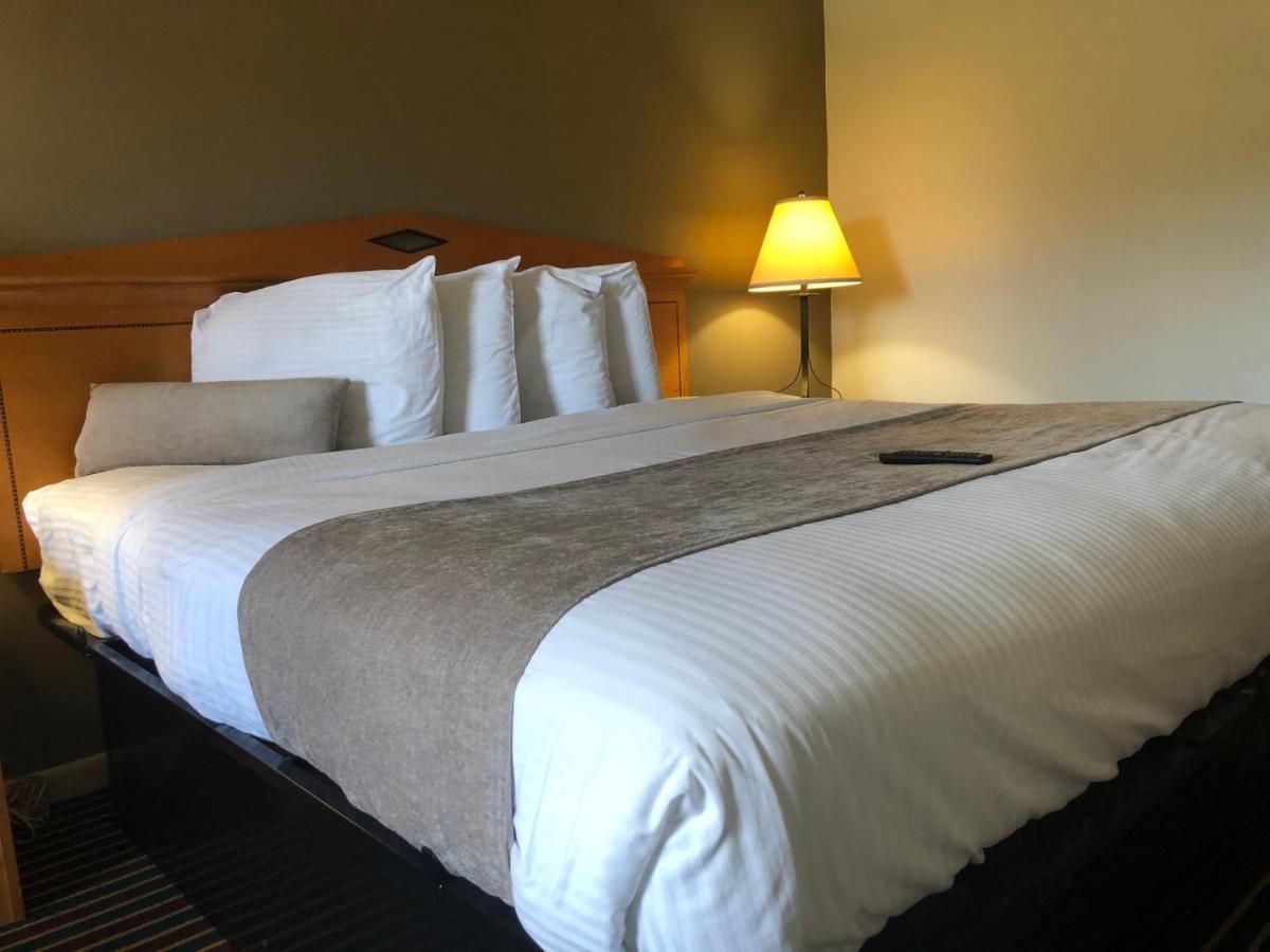 Budget Inn Timmonsville Экстерьер фото